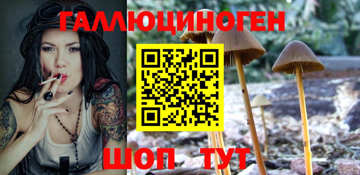 Гулькевичи  Галлюциногенные грибы мицелий  Вход с VPN 
